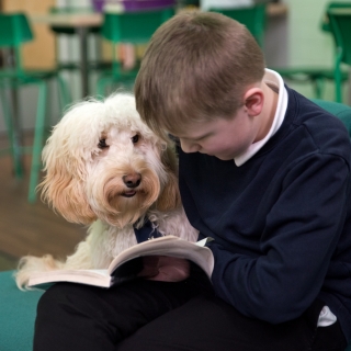 Primary Inclusion Team Thumbnail Image