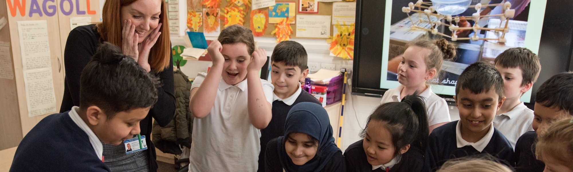 Primary Inclusion Team Projects Header