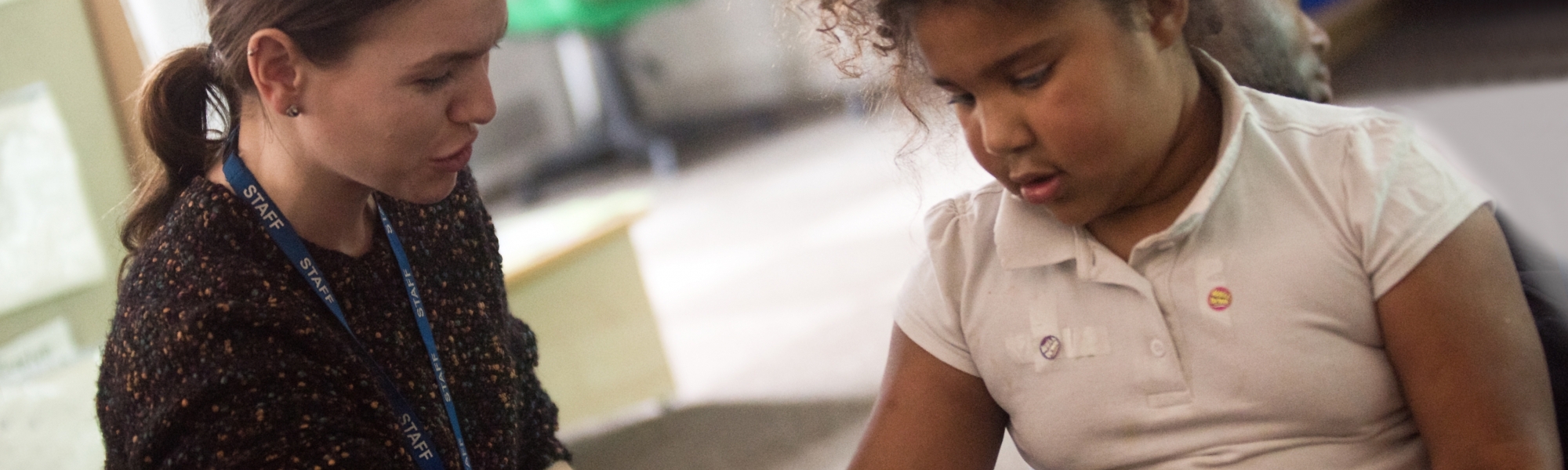 Primary Inclusion Team Referral Process Header