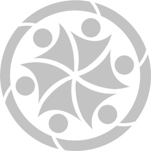 Primary Inclusion Team silver package